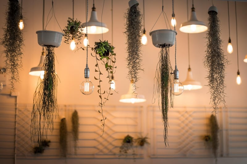 Lighting Décor