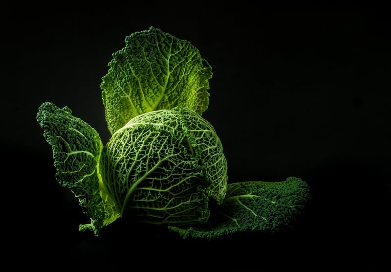 Nature-Inspired Cuisine